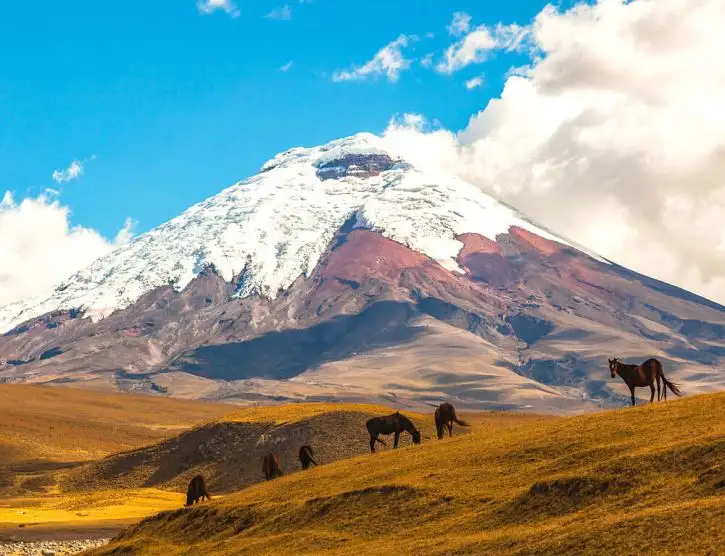 Location: Ecuador