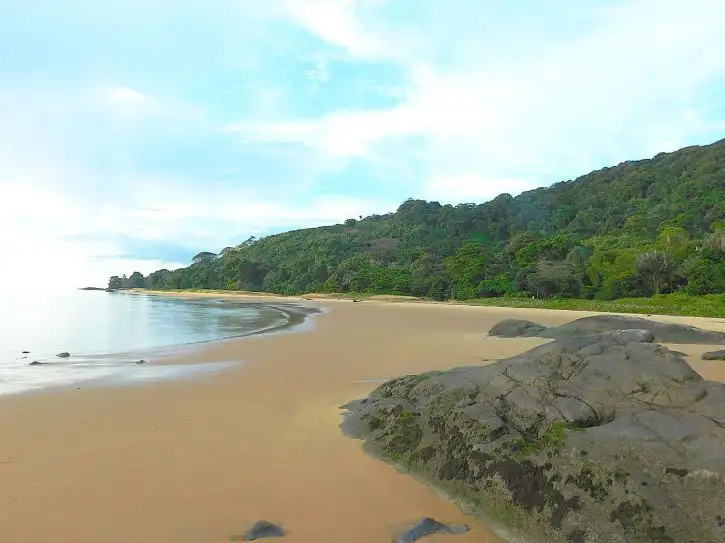 Gosselin Beach, Remire Montjoly | Location: French Guiana