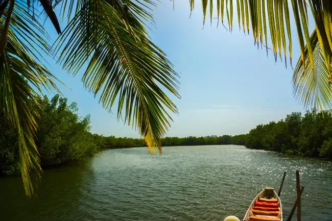 Gambia River | Location: Gambia