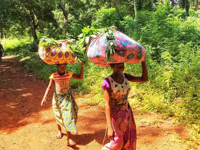 Loos Islands (Îles de Los) Excursion | Location: Conakry,  Guinea