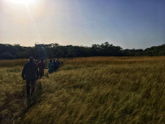 Bijagos Archipelago - Hippo Excursion | Location: Orango,  Guinea-Bissau