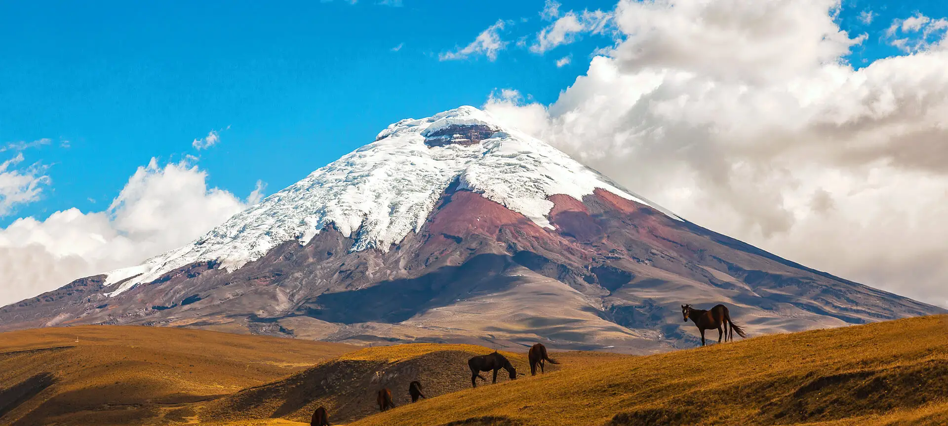 11 Day Ecuador Tour