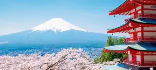 20 Day Japan by Rail Tour