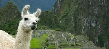 Peru & Bolivia: Kingdoms of the Andes Tour