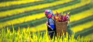14 Day Northern Vietnam & Laos Tour